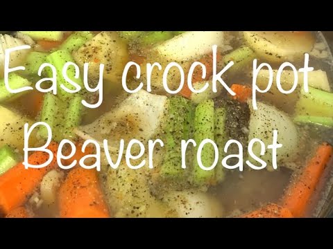Easy crock pot beaver roast
