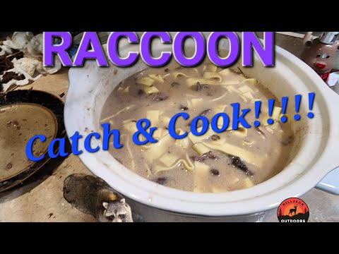 Catch & Cook: Raccoon Crock Pot Roast