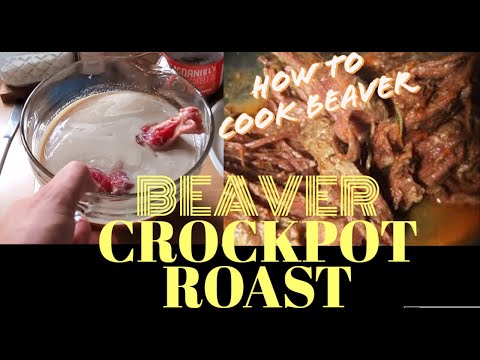 Beaver Crock Pot Roast, cooking beaver in the crock pot slow cooker meat based diet wild game dinner